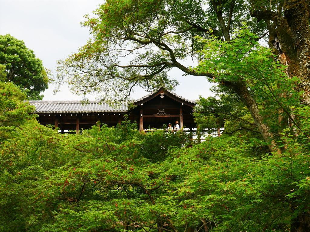 Coto Toji 4 Quioto